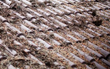 Skegness roof cleaning companies